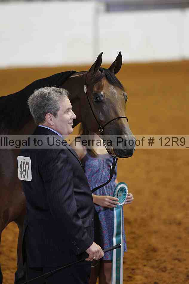 Proof 12r9_4596