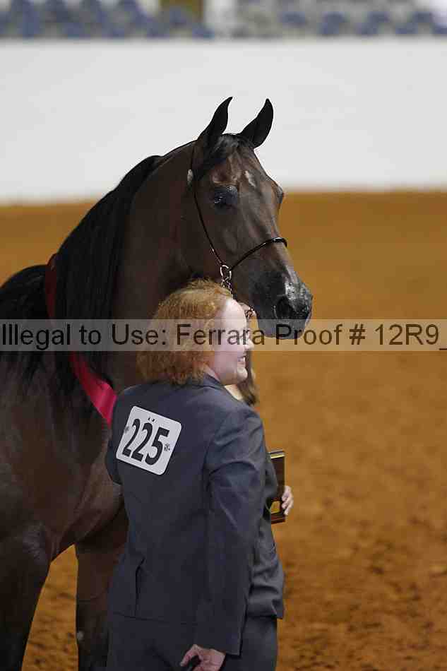 Proof 12r9_4606