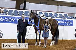 12r9_4607 proof