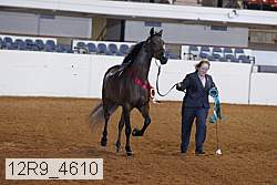 12r9_4610 proof