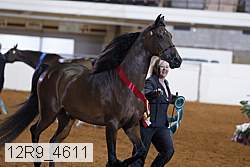 12r9_4611 proof