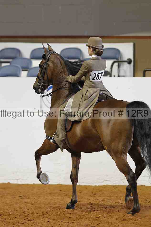 Proof 12r9_4724