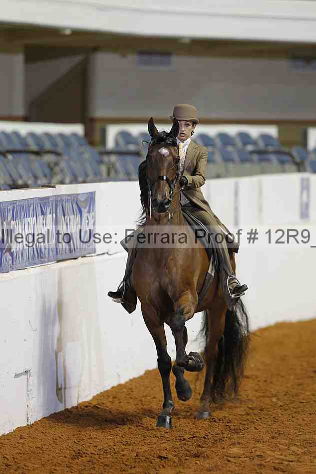 Proof 12r9_4726