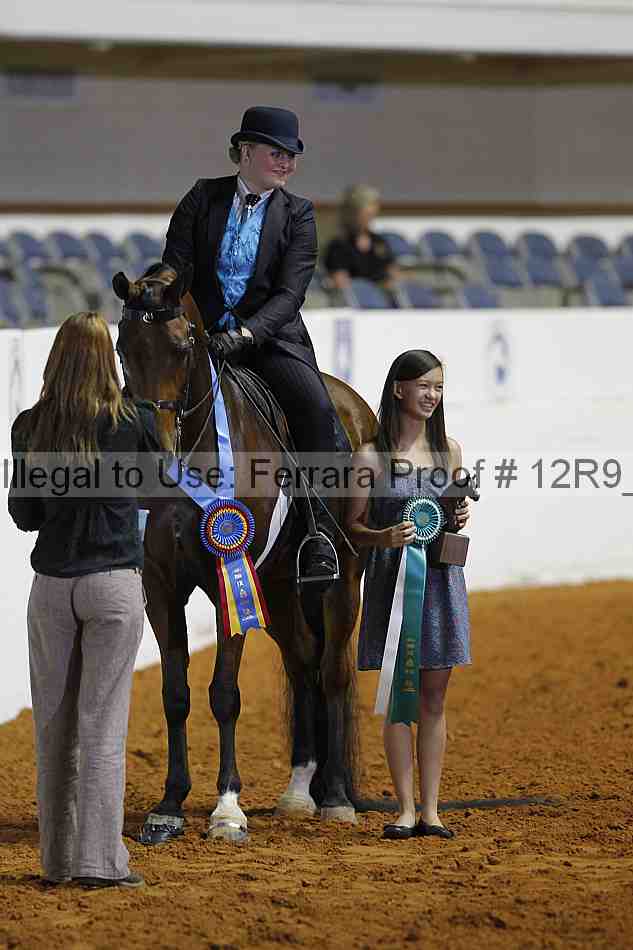 Proof 12r9_4734