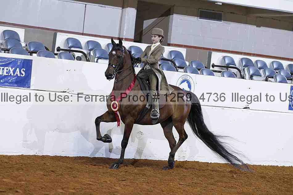 Proof 12r9_4736