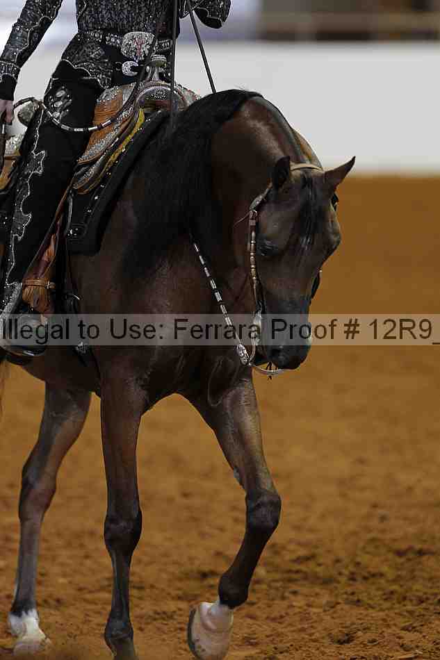 Proof 12r9_4760