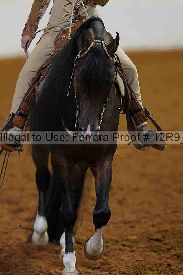Proof 12r9_4766