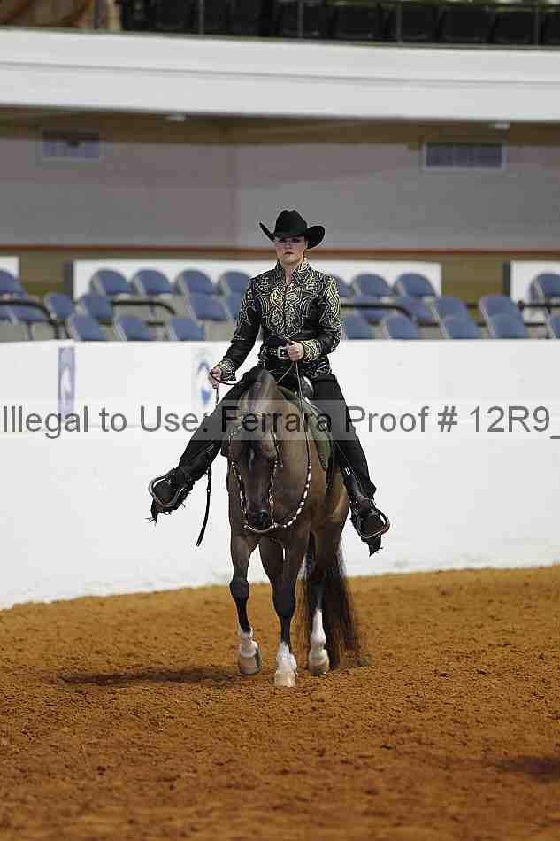 Proof 12r9_4772
