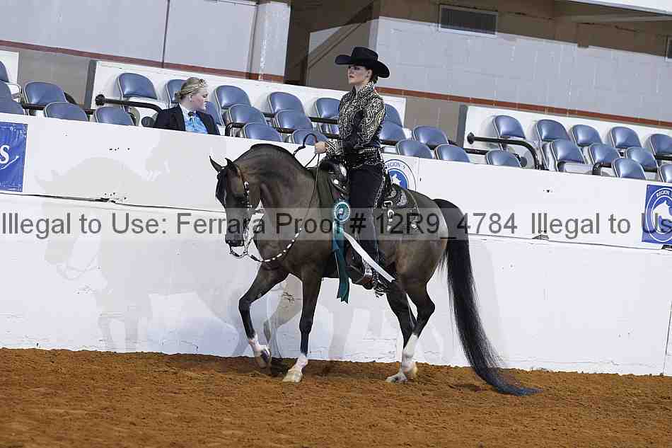 Proof 12r9_4784