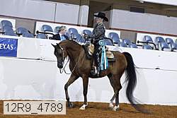 12r9_4789 proof