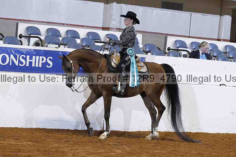 Proof 12r9_4790