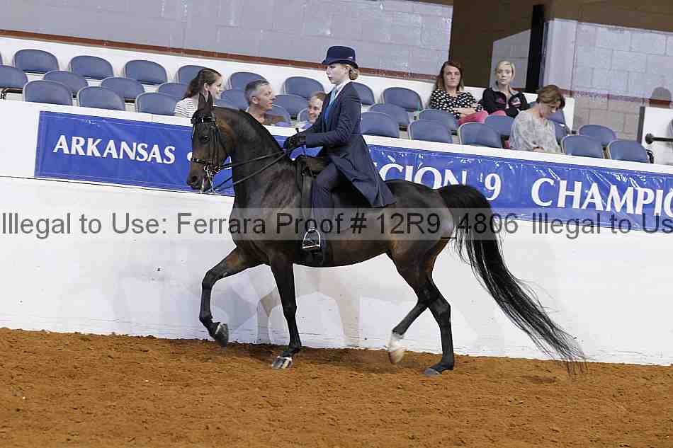 Proof 12r9_4806