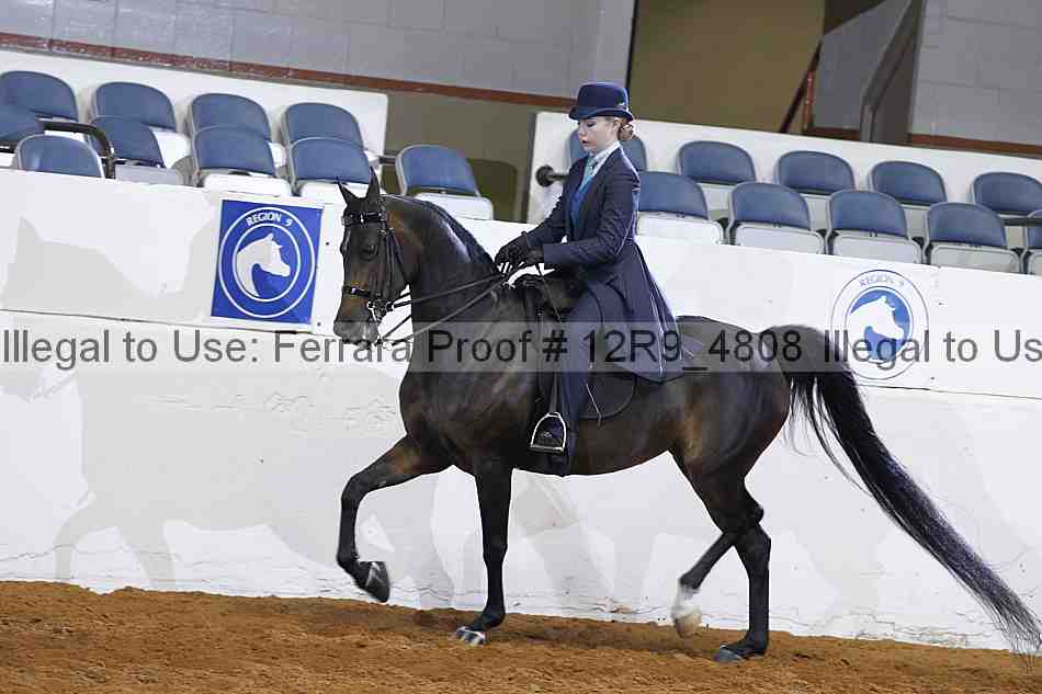 Proof 12r9_4808