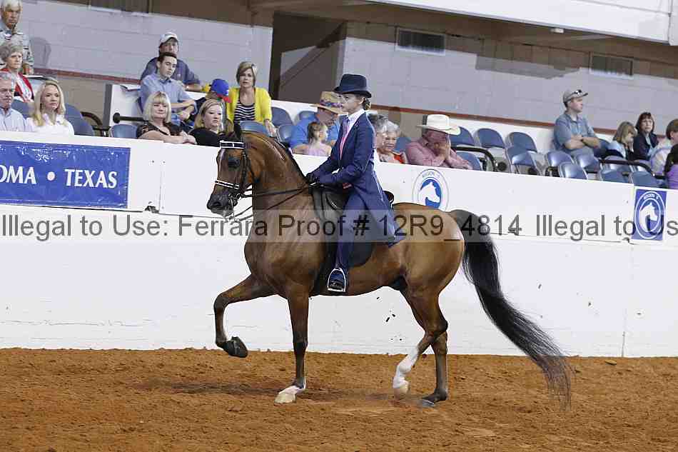 Proof 12r9_4814