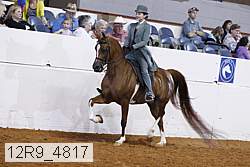 12r9_4817 proof