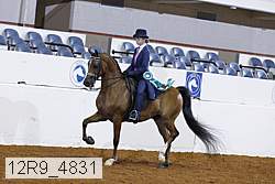 12r9_4831 proof