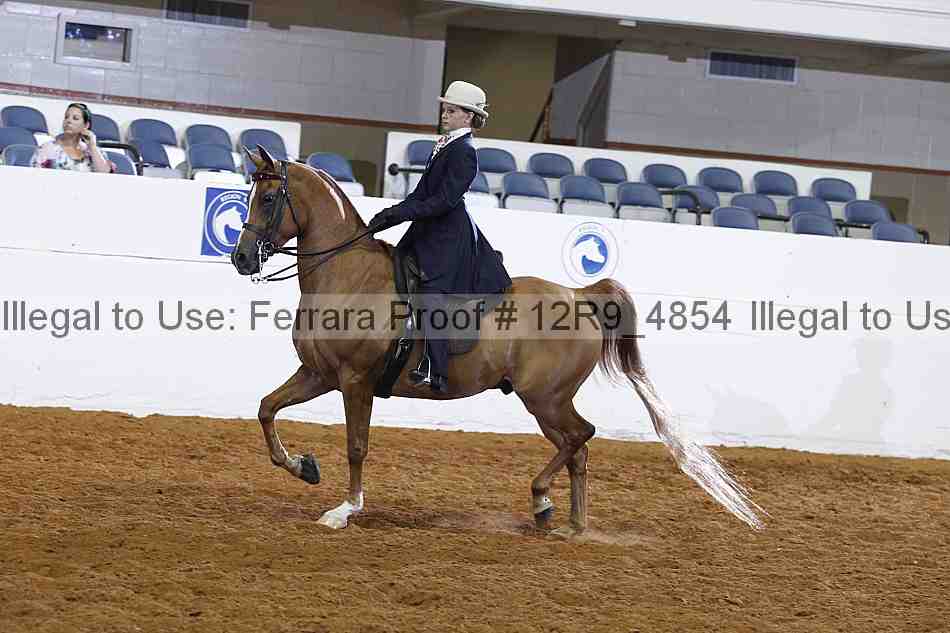 Proof 12r9_4854