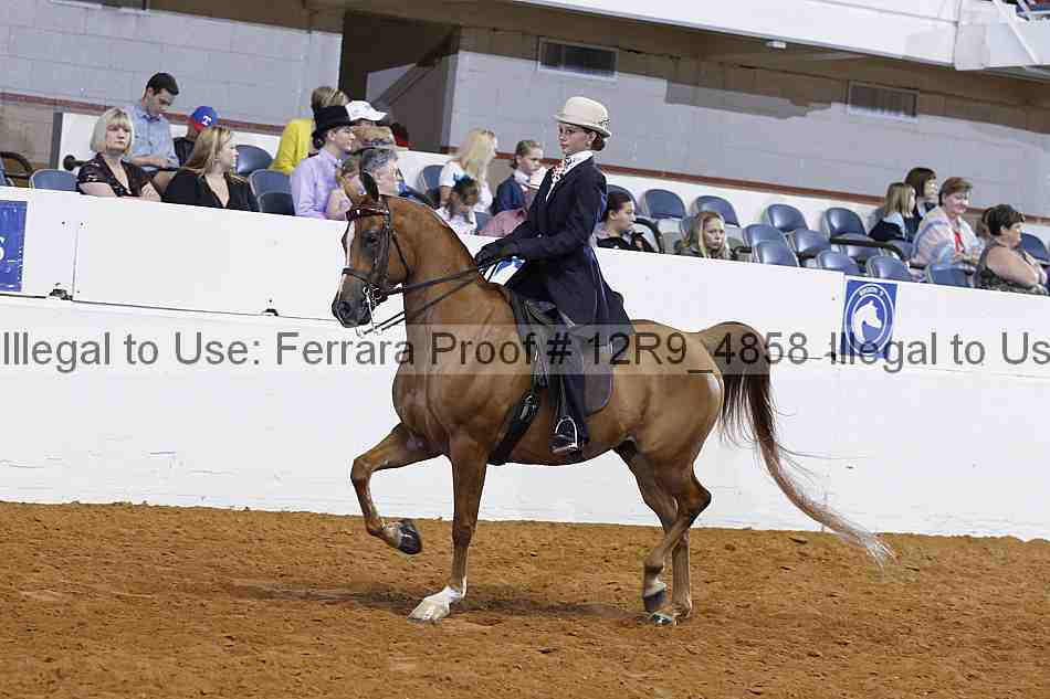 Proof 12r9_4858
