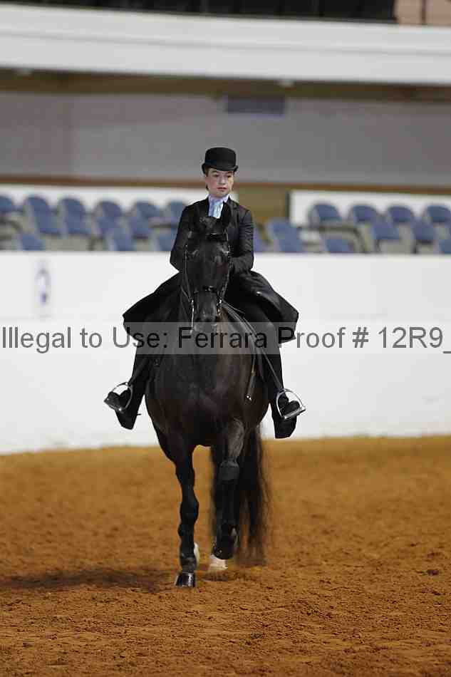 Proof 12r9_4859