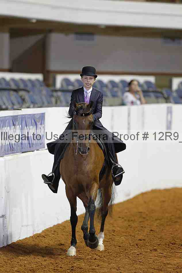 Proof 12r9_4863