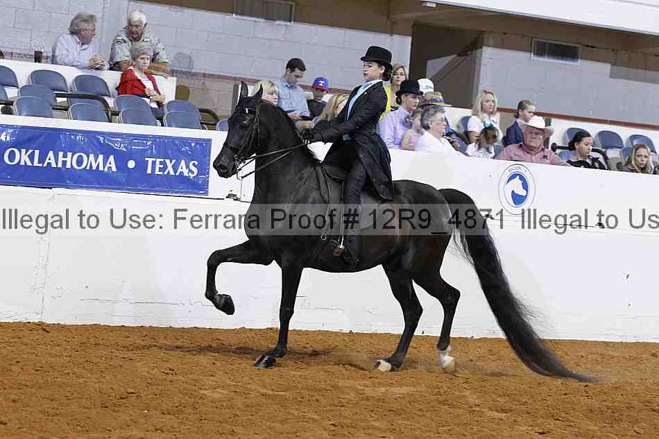 Proof 12r9_4871