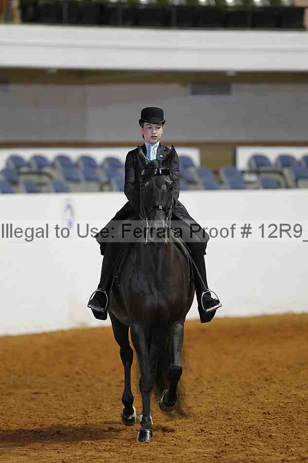 Proof 12r9_4874