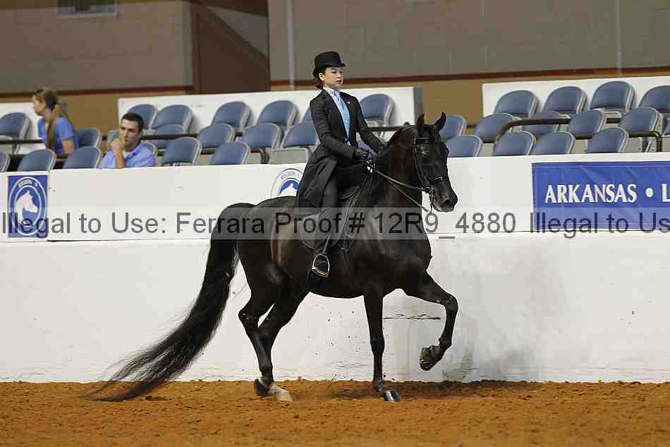 Proof 12r9_4880