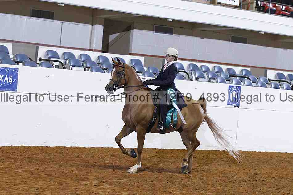 Proof 12r9_4893