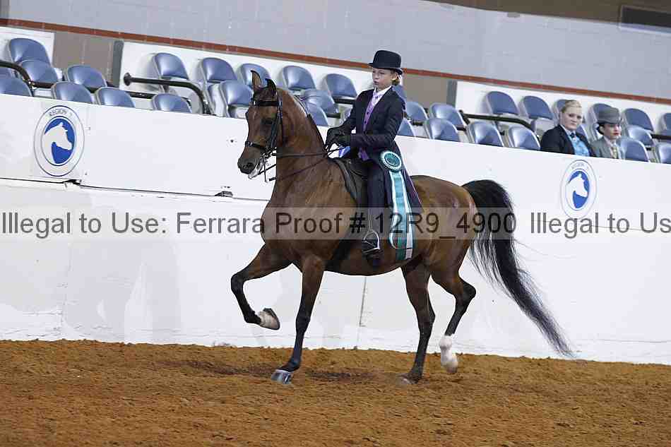 Proof 12r9_4900