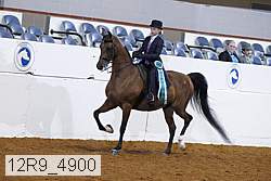 12r9_4900 proof