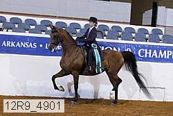 12r9_4901 proof