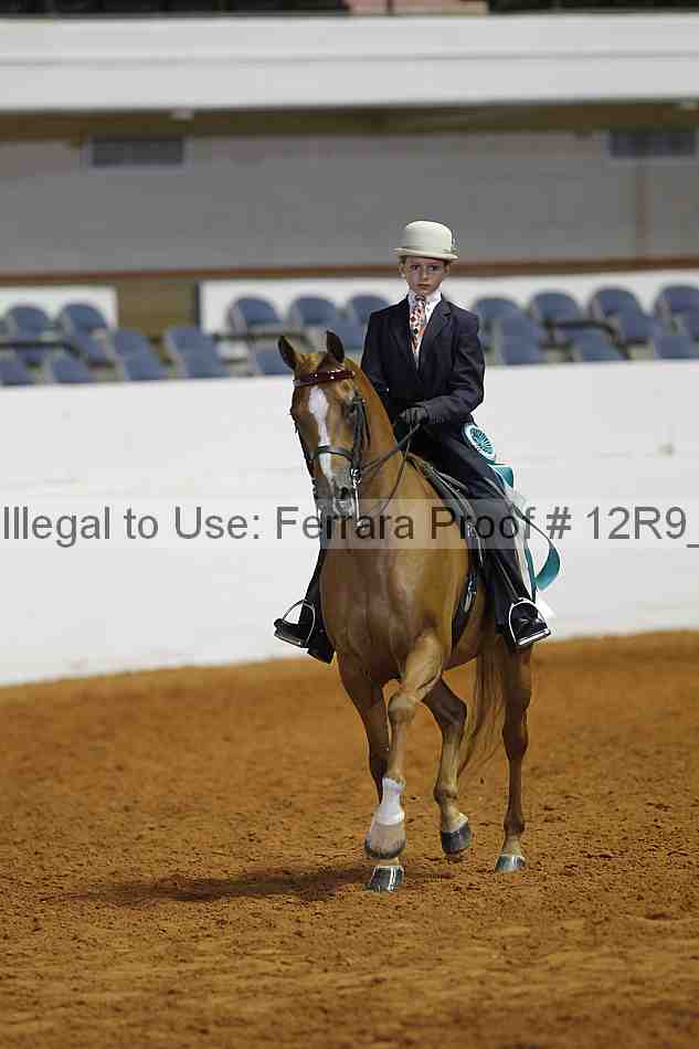 Proof 12r9_4902