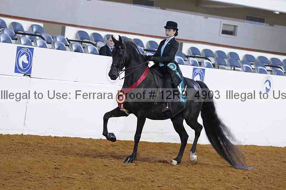 Proof 12r9_4903