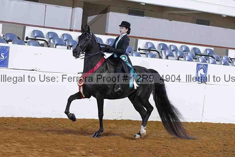 Proof 12r9_4904
