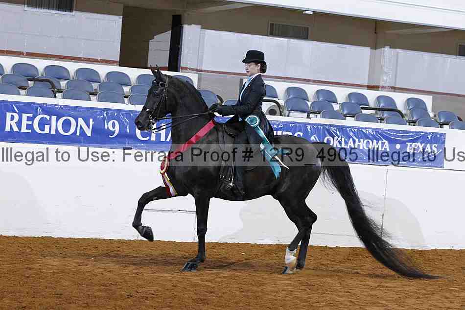 Proof 12r9_4905