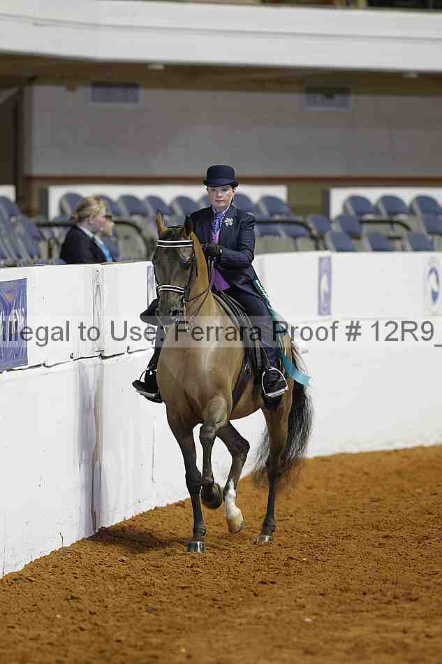 Proof 12r9_4906