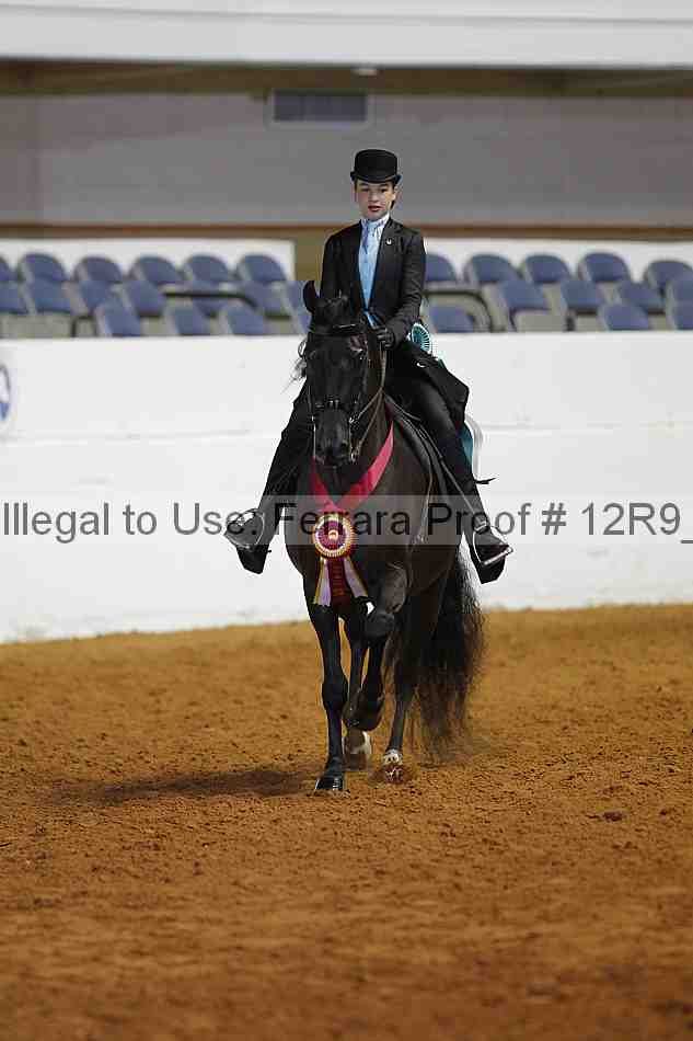 Proof 12r9_4909