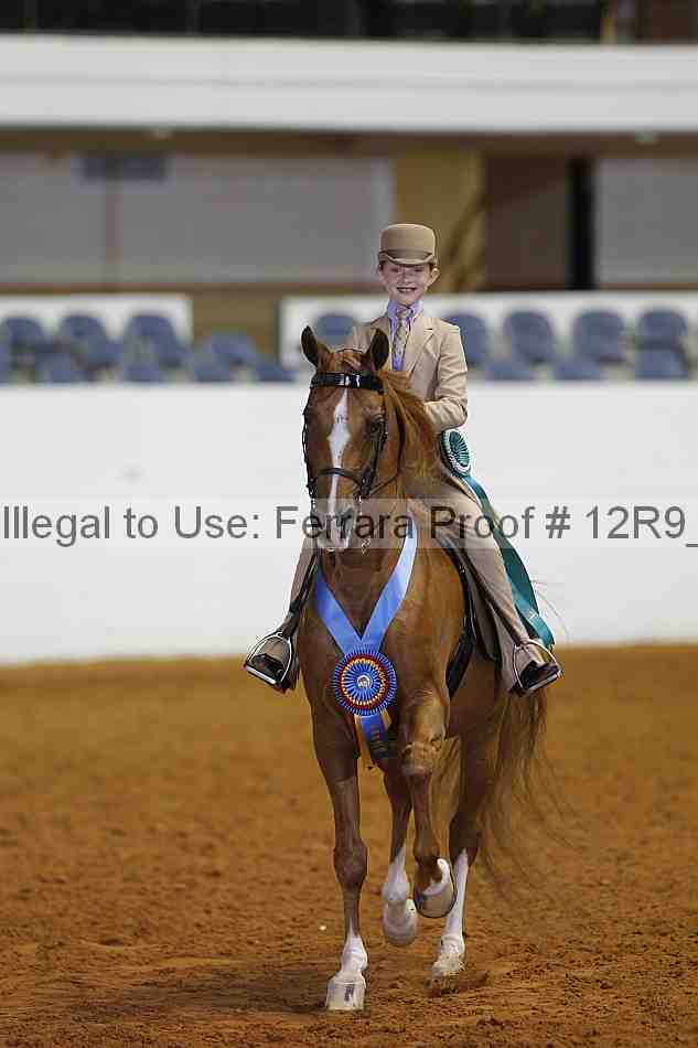 Proof 12r9_4914