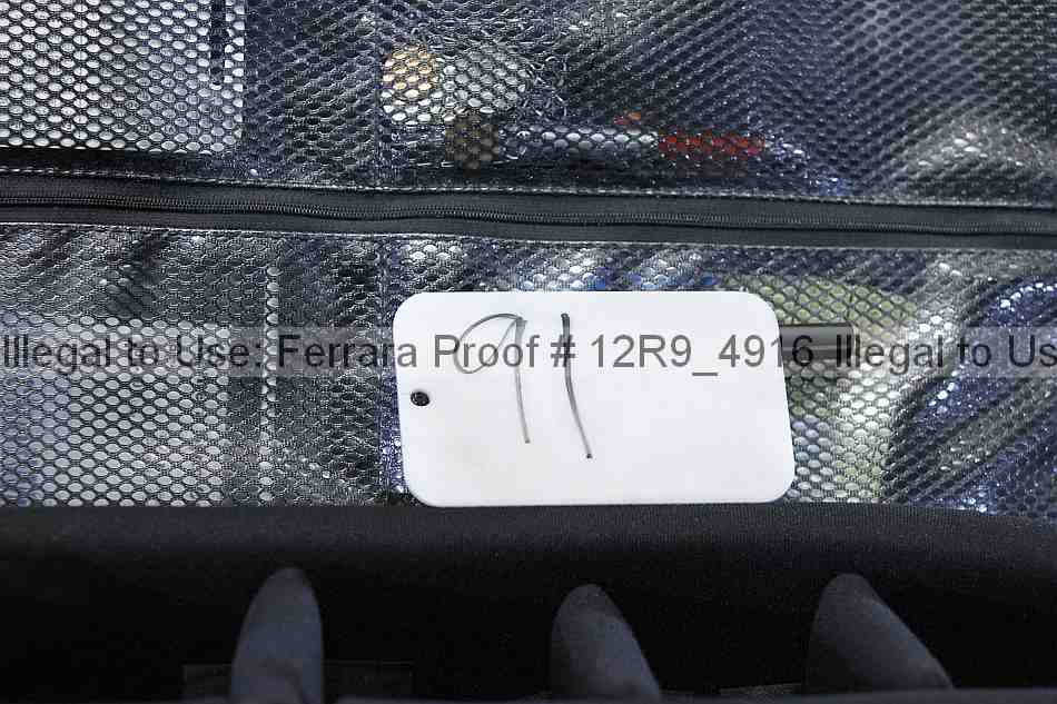Proof 12r9_4916