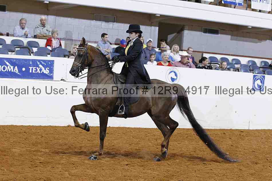 Proof 12r9_4917