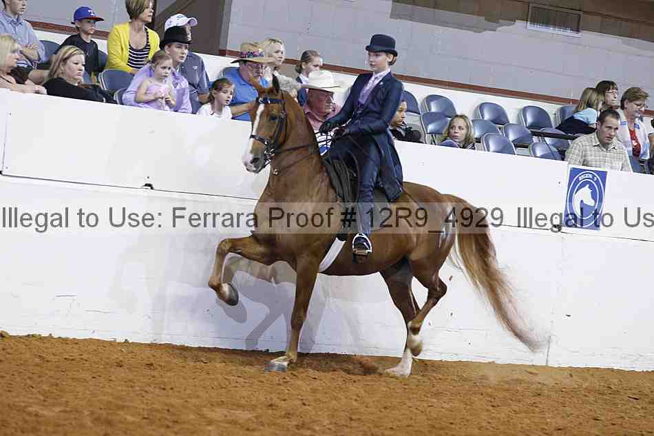 Proof 12r9_4929