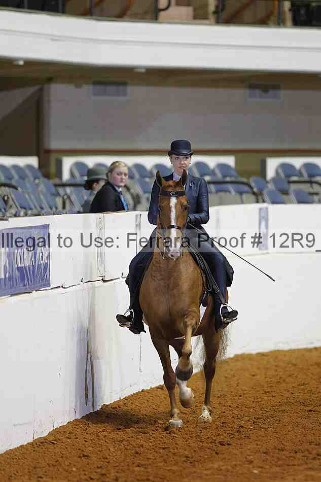 Proof 12r9_4934
