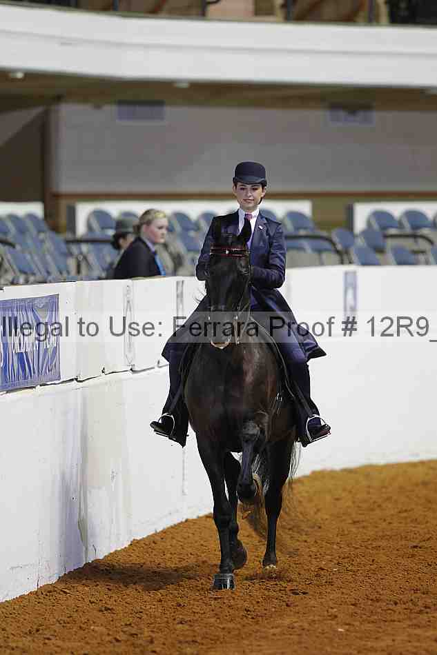 Proof 12r9_4939