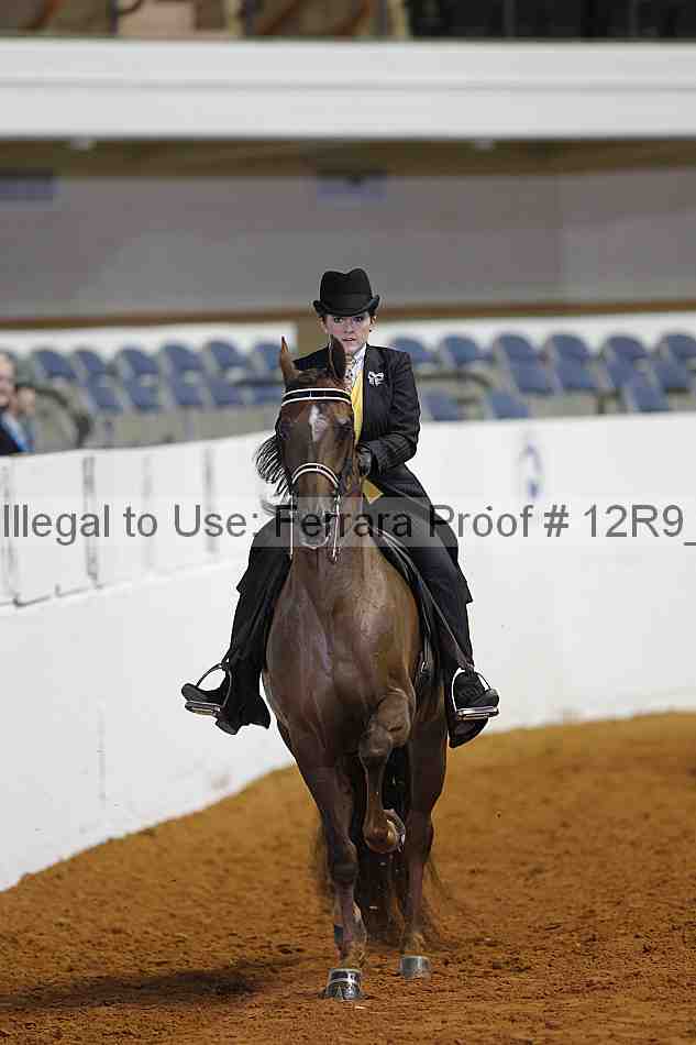 Proof 12r9_4943