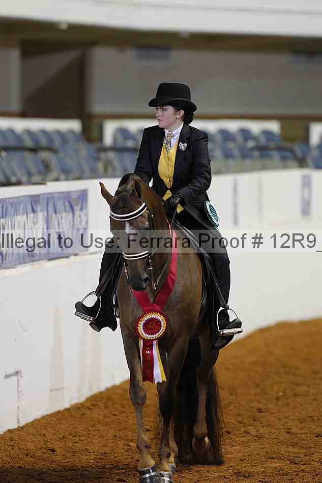 Proof 12r9_4950