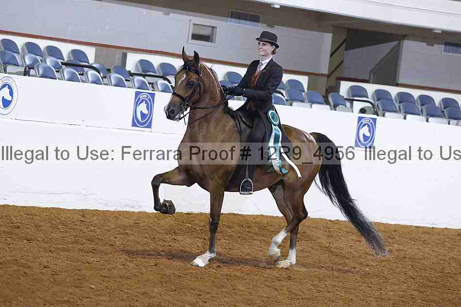 Proof 12r9_4956