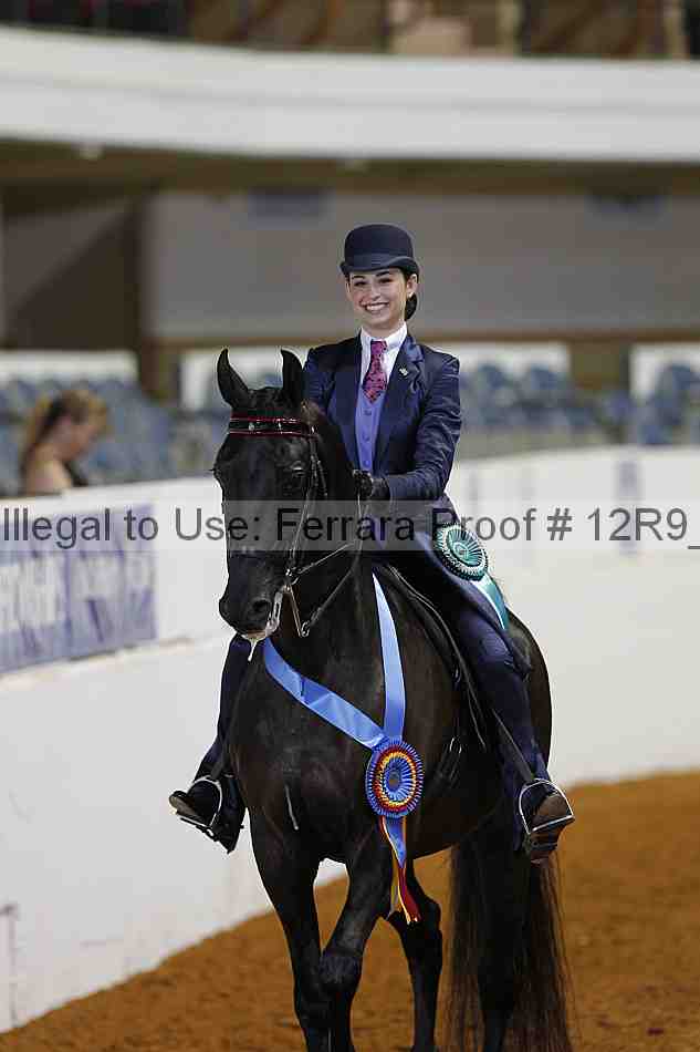 Proof 12r9_4961
