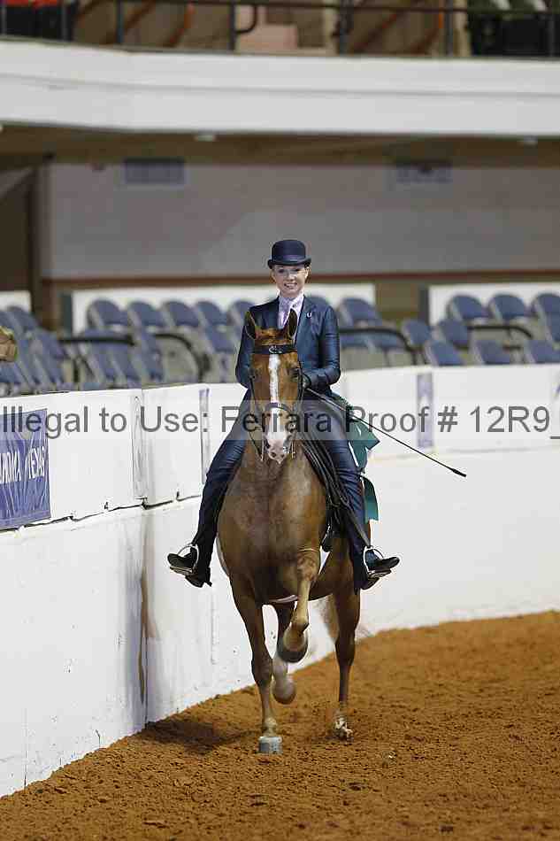 Proof 12r9_4965