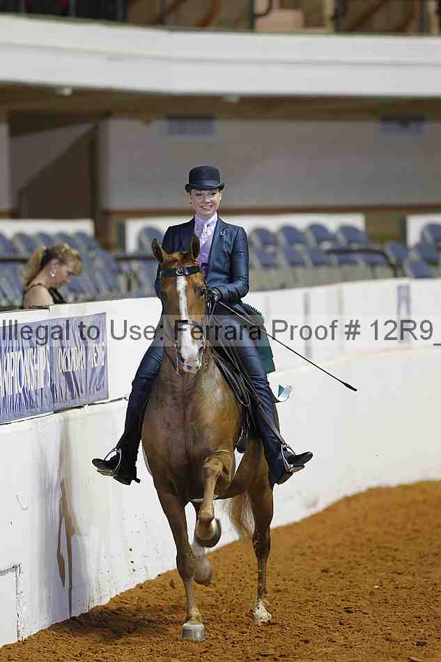 Proof 12r9_4966