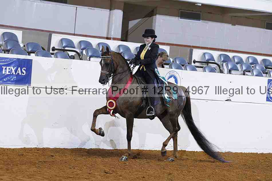Proof 12r9_4967